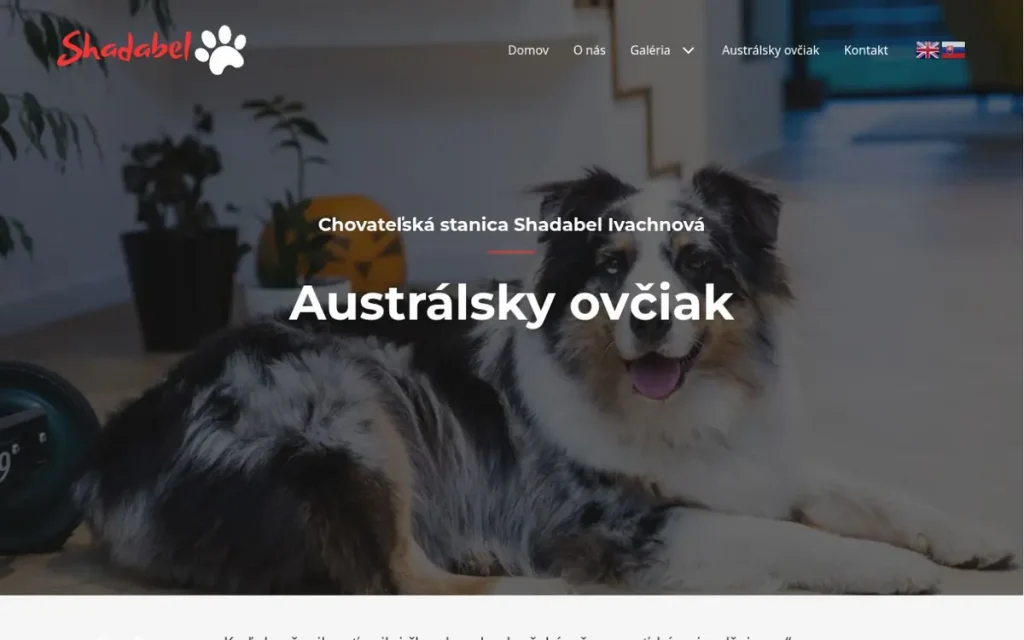 Náhľad webovej stránky Shadabel